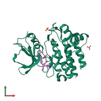 Monomeric assembly 1 of PDB entry 2ofu coloured by chemically distinct molecules, front view.
