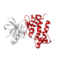 The deposited structure of PDB entry 2og8 contains 2 copies of CATH domain 1.10.510.10 (Transferase(Phosphotransferase); domain 1) in Tyrosine-protein kinase Lck. Showing 1 copy in chain B.