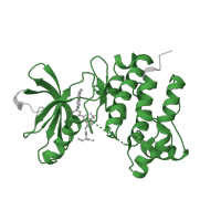 The deposited structure of PDB entry 2og8 contains 2 copies of Pfam domain PF07714 (Protein tyrosine and serine/threonine kinase) in Tyrosine-protein kinase Lck. Showing 1 copy in chain B.