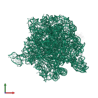 23S ribosomal RNA in PDB entry 2ogn, assembly 1, front view.