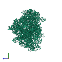 23S ribosomal RNA in PDB entry 2ogn, assembly 1, side view.