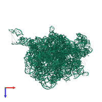 23S ribosomal RNA in PDB entry 2ogn, assembly 1, top view.