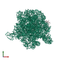 PDB entry 2ogo coloured by chain, front view.