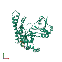 PDB entry 2ohf coloured by chain, front view.