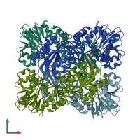 PDB entry 2ohh coloured by chain, front view.