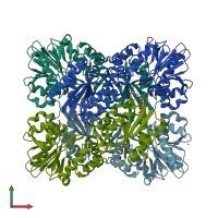 PDB entry 2ohj coloured by chain, front view.