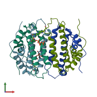 PDB entry 2oig coloured by chain, front view.