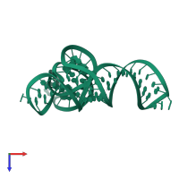 L1 Ribozyme RNA Ligase in PDB entry 2oiu, assembly 2, top view.