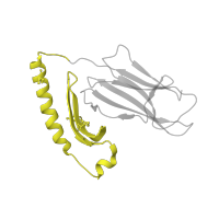 The deposited structure of PDB entry 2oje contains 2 copies of CATH domain 3.10.320.10 (Class II Histocompatibility Antigen, M Beta Chain; Chain B, domain 1) in HLA class II histocompatibility antigen, DR alpha chain. Showing 1 copy in chain A.