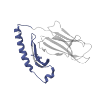 The deposited structure of PDB entry 2oje contains 2 copies of SCOP domain 54453 (MHC antigen-recognition domain) in HLA class II histocompatibility antigen, DR alpha chain. Showing 1 copy in chain A.