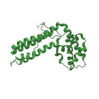 The deposited structure of PDB entry 2oje contains 2 copies of Pfam domain PF09245 (Mycoplasma arthritidis-derived mitogen) in Superantigen. Showing 1 copy in chain D.