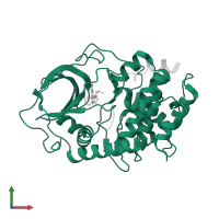 cAMP-dependent protein kinase catalytic subunit alpha in PDB entry 2ojf, assembly 1, front view.