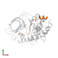 Inhibitory peptide in PDB entry 2ojf, assembly 1, front view.