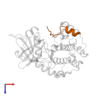 Inhibitory peptide in PDB entry 2ojf, assembly 1, top view.