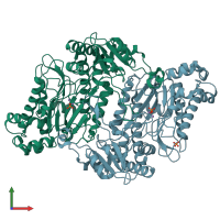 PDB entry 2okn coloured by chain, front view.