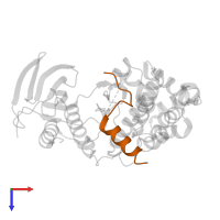 MAP kinase-activated protein kinase 2 in PDB entry 2okr, assembly 1, top view.