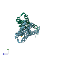 PDB entry 2oku coloured by chain, side view.