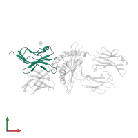 Ig-like domain-containing protein in PDB entry 2ol3, assembly 1, front view.