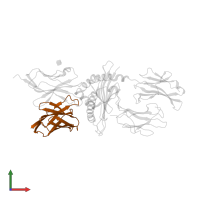 T-cell receptor beta chain V region E1 in PDB entry 2ol3, assembly 1, front view.