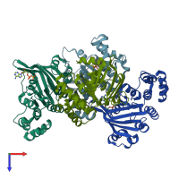 PDB entry 2olk coloured by chain, top view.