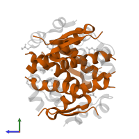 Insulin B chain in PDB entry 2om1, assembly 2, side view.