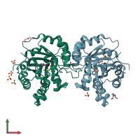 PDB entry 2oma coloured by chain, front view.