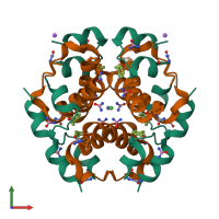 Hetero dodecameric assembly 1 of PDB entry 2omg coloured by chemically distinct molecules, front view.