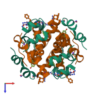 Hetero dodecameric assembly 1 of PDB entry 2omg coloured by chemically distinct molecules, top view.