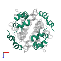 Insulin A chain in PDB entry 2omg, assembly 1, top view.