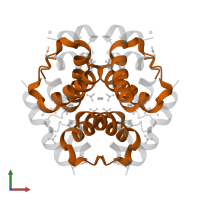 Insulin B chain in PDB entry 2omg, assembly 1, front view.