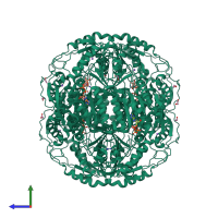 Homo tetrameric assembly 1 of PDB entry 2onm coloured by chemically distinct molecules, side view.