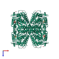 Homo tetrameric assembly 1 of PDB entry 2onm coloured by chemically distinct molecules, top view.