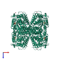 Homo tetrameric assembly 3 of PDB entry 2onm coloured by chemically distinct molecules, top view.