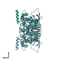 PDB entry 2oo0 coloured by chain, side view.