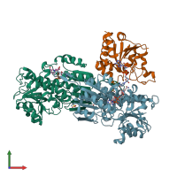 PDB entry 2oo5 coloured by chain, front view.