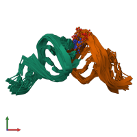 PDB entry 2oom coloured by chain, ensemble of 12 models, front view.