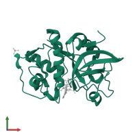Cathepsin S in PDB entry 2op3, assembly 1, front view.