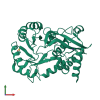 PDB entry 2opj coloured by chain, front view.