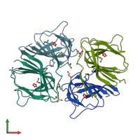 PDB entry 2opk coloured by chain, front view.