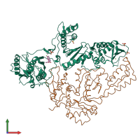 PDB entry 2opp coloured by chain, front view.