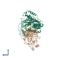 PDB entry 2opp coloured by chain, side view.
