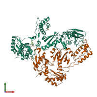PDB entry 2opr coloured by chain, front view.