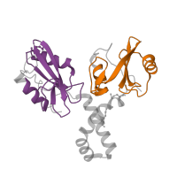 The deposited structure of PDB entry 2oq1 contains 2 copies of Pfam domain PF00017 (SH2 domain) in Tyrosine-protein kinase ZAP-70. Showing 2 copies in chain A.