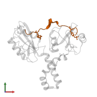 T-cell surface glycoprotein CD3 zeta chain in PDB entry 2oq1, assembly 1, front view.