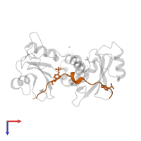 T-cell surface glycoprotein CD3 zeta chain in PDB entry 2oq1, assembly 1, top view.