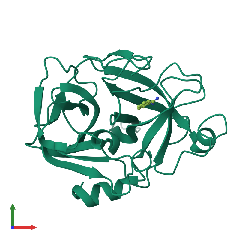 <div class='caption-body'><ul class ='image_legend_ul'> Monomeric assembly 1 of PDB entry 2oq5 coloured by chemically distinct molecules and viewed from the front. This assembly contains:<li class ='image_legend_li'>One copy of Transmembrane protease, serine 11E</li><li class ='image_legend_li'>One copy of BENZAMIDINE</li></ul></div>