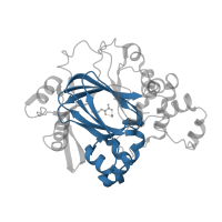 The deposited structure of PDB entry 2oq7 contains 2 copies of Pfam domain PF02373 (JmjC domain, hydroxylase) in Lysine-specific demethylase 4A. Showing 1 copy in chain A.