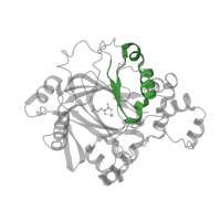 The deposited structure of PDB entry 2oq7 contains 2 copies of Pfam domain PF02375 (jmjN domain) in Lysine-specific demethylase 4A. Showing 1 copy in chain A.
