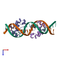 PDB entry 2or1 coloured by chain, top view.