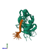 PDB entry 2os6 coloured by chain, ensemble of 20 models, side view.